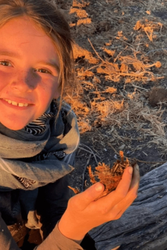 Machaba Botswana On Safari Nala Use Elephant Dung
