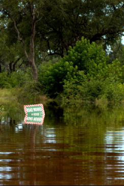 Machaba Botswana Okavango Delta Machaba River Sightings March 2017