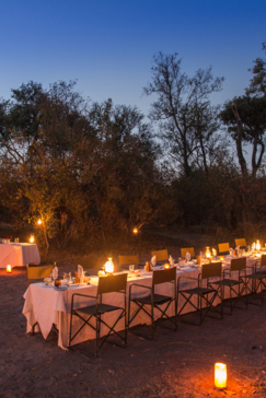 On Safari Nala Episode 16 Giraffe Napkin Gallery Dining