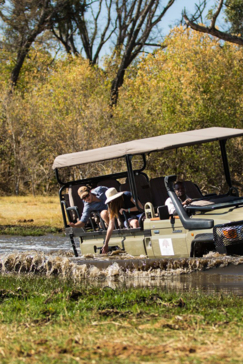Machaba Safaris   Botswana   Ngoma Safari Lodge   Gallery Game Drive