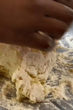 Machaba Botswana Gomoti Plains Safari Nala Pizza Dough