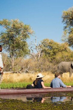 On Safari Nala Episode 9 Mokoro