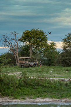 Machaba Zimbabwe Hwange Verneys Camp Game Drive Sightings 2 2019