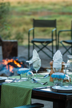 On Safari Nala Episode 16 Giraffe Napkin Gallery Napkin