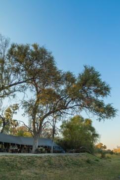 Botswana   Machaba Camp   Machaba Camp