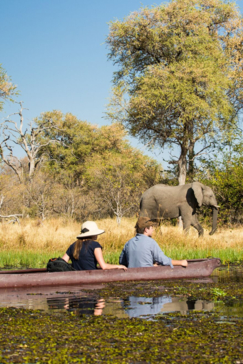 Machaba Botswana Zimbabwe Ultimate Safari Destination Canoe Safari Elephant