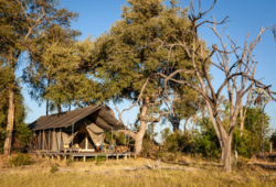 Machaba Gomoti Accommodation Tent Mvr 002