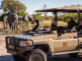 Machaba Machaba Experience Safari Mvr 096