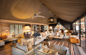Machaba Web Home Our Camps Lodges Lodge Interior