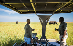 Machaba About Us Our Team Exceptional Safaris