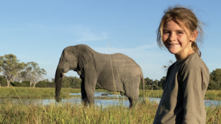 Machaba Botswana On Safari Nala Banner Image