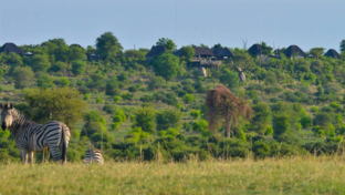 Machaba Safaris Botswana Chobe Ngoma Safari Lodge August Thumbnail