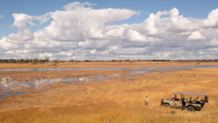 Machaba Okavango Delta Kiri Camp Safari Ranger Landscape