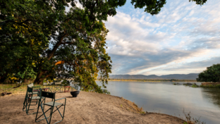 Machaba Safaris   Zimbabwe   Mana Pools National Park   Mana River Camp   Zambezi View From Camp