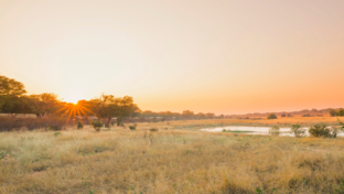 Zimbabwe Hwange Deteema Humbling Zimbabwe Thumbnail