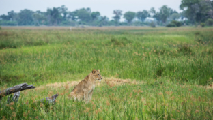 Machaba Deteema Accommodation Lodge Mvr 045