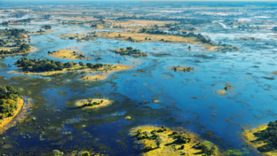 Machaba Camp   Botswana   Wildlife Stories   May 2022   CTA   Okavango Delta