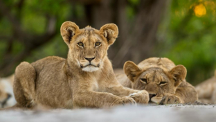 Shaun Malan Machab Camp Feb 2023 2