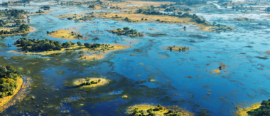 Machaba Gomoti Plains Community Feature Okavango Delta