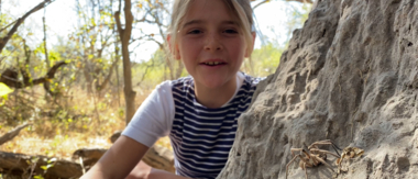 On Safari Nala Episode 22 Cta Baboon Spider