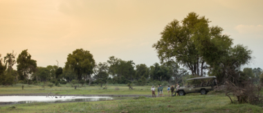 Machaba Botswana Okavango Delta Gomoti Plains Leopard Sightings July 2020 Cta Botswana