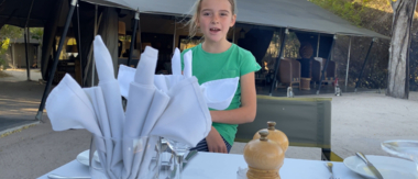 On Safari Nala Episode 17 Giraffe Napkin