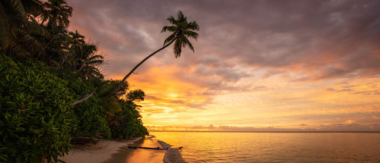 Seychelles   Alphonse Island   Beach