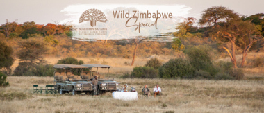 Machaba Zimbabwe Hwange Verneys Camp Sighting February 2020 Cta Wild Zimbabwe Special