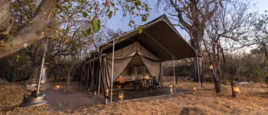 Botswana Okavango Delta Machaba Camp Sightings July 2021 Machabacamp
