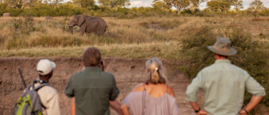 Machaba Zimbabwe Hwange Deteema Camp Tourists Sightings 2019