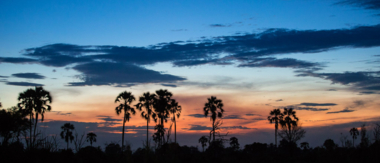 Machaba Safaris   Botswana   Okavango   Gomoti Plains  Sunset
