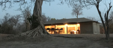 Zimbabwe Mana Pools Ingwe Pan Camp