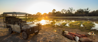 Zimbabwe   Mana Pools   Ingwe Pan   August Sightings 2021   CTA   Other Safari Packages