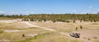 Zimbabwe Hwange National Park Deteema Springs Wildlife Sightings October 2020 Cta