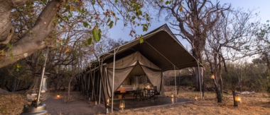 Botswana   Machaba Camp   Machaba Camp Cta