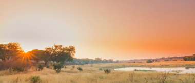 Zimbabwe   Mana Pools   Ingwe Pan   August Sightings 2021   CTA   Destination Zimbabwe