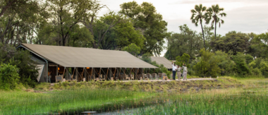 Gomoti Camp Wildife Stories Main Tent