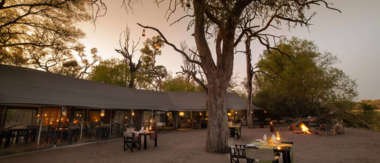 Machaba Botswana Okavango Delta August Sightings 2020 Cta Camp