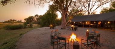 Botswana   Okavango Delta   Machaba Camp   November Sightings