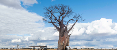Botswana Kiri Camp Sightings On Safari