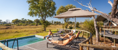 Machaba Botswana Okavango Delta Gomoti Plains Leopard Sightings July 2020 Cta Gomoti