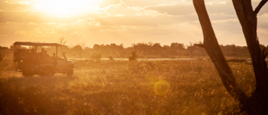 Machaba Botswana Okavango Delta Machaba Camp Sightings March 2020 Sunset Safari