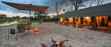 Botswana Okavango Gomoti Sightings July 2021 Gomoti Camp