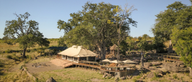 Local Zimbabwe Resident Special Deteema Springs Cta