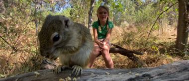 On Safari Nala Episode 25 Cta Squirrel