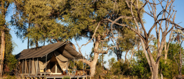 Botswana Okavango Delta Gomoti Plains Camp October Sightings 2020 Camp Image