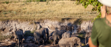 Zimbabwe Hwange National Park Deteema Springs Cta