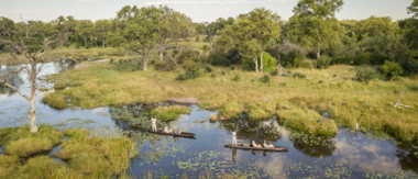 Machaba Botswana Okavango Delta Machaba Camp Sightings December Cta