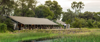 Botswana   Okavango Delta   Gomoti Camp   Oct 2021 Wildlife Sightings   CTA Gomoti Camp