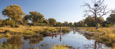 Botswana Kiri Camp Mokoro